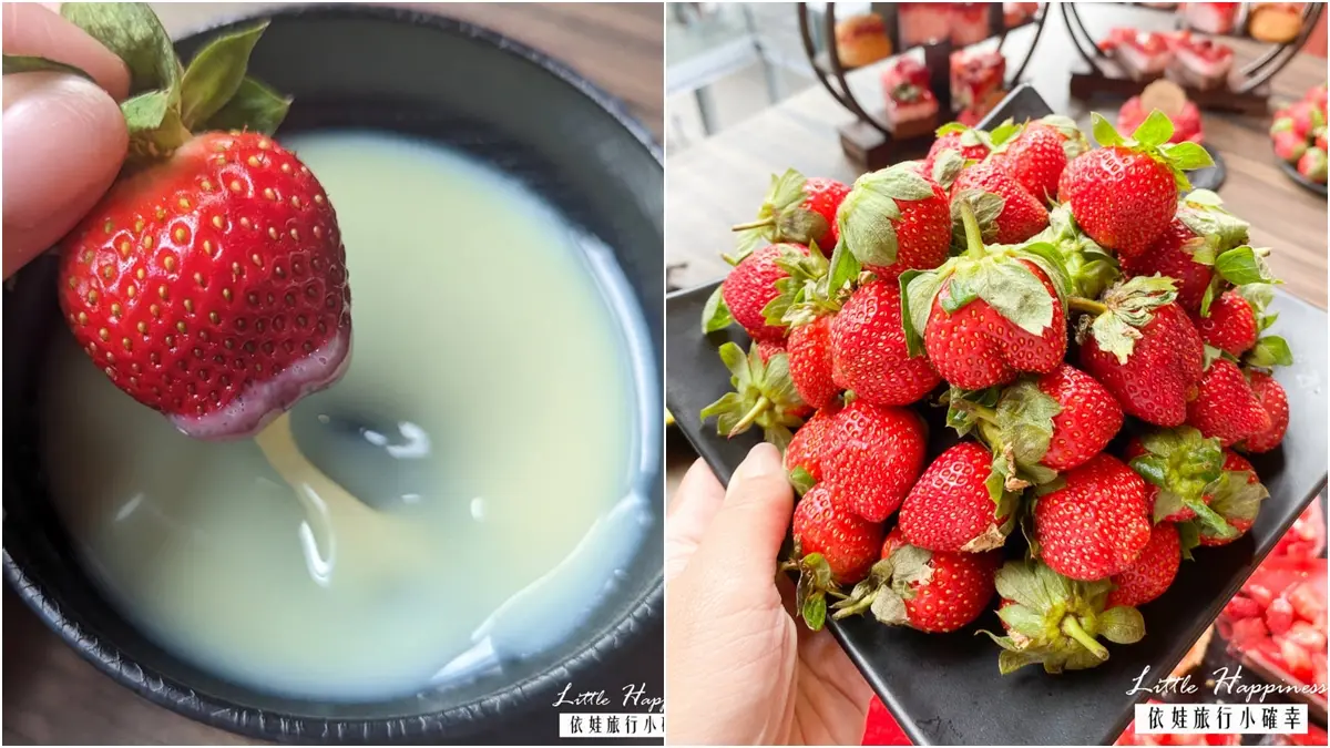 「麻辣鍋＋大湖草莓」599元吃到飽！自助吧60種食材無限嗑，加碼多款草莓甜點
