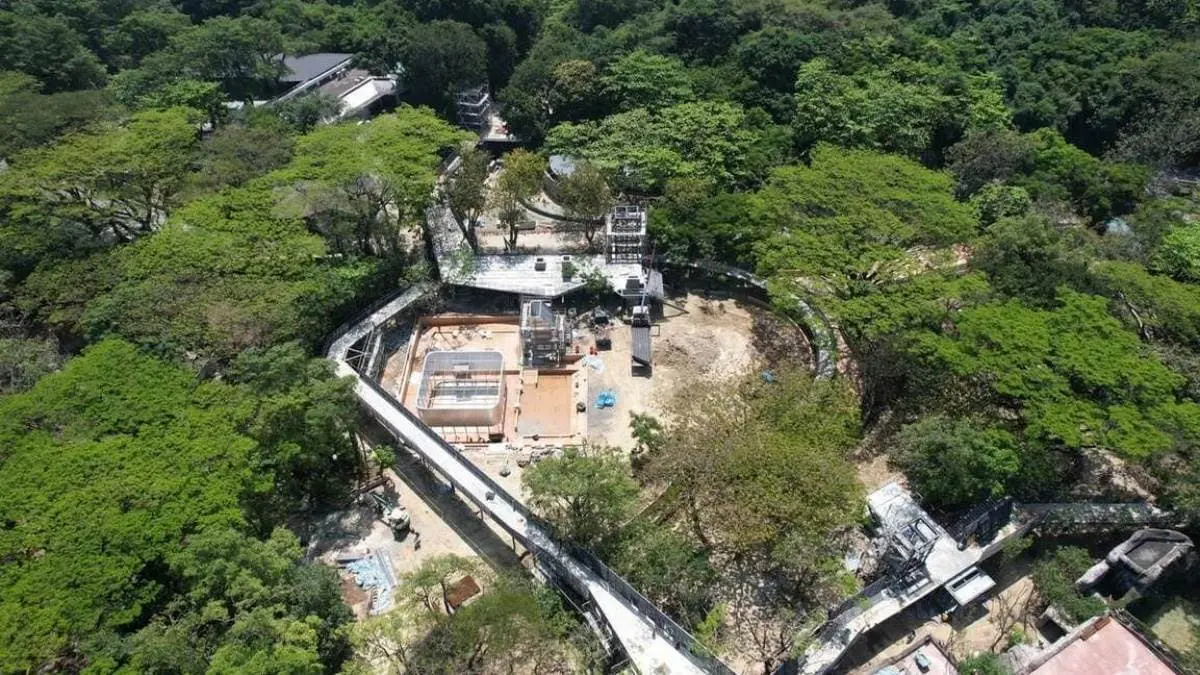 12歲以下免費入園！壽山動物園今起試營運，快衝全新空中廊道、鐵籠咖啡廳