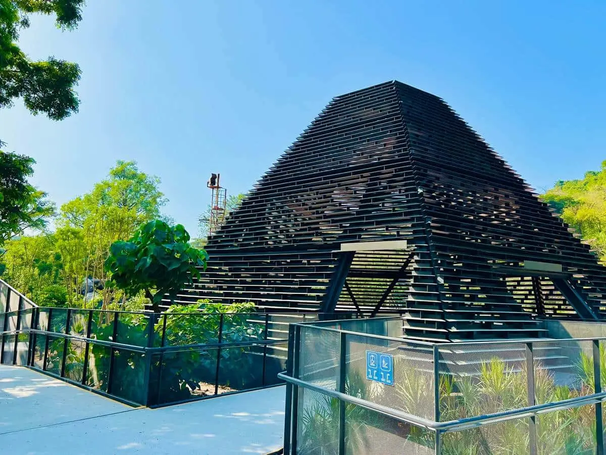 12歲以下免費入園！壽山動物園今起試營運，快衝全新空中廊道、鐵籠咖啡廳