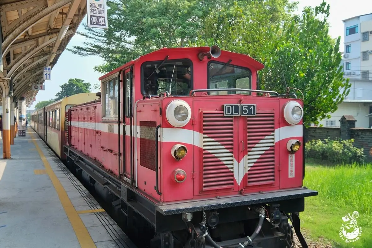 衝阿里山賞2023元旦日出!祝山觀日列車今起開始預售,「這天」快搶訂個人票 衝阿里山賞2023元旦日出!祝山觀日列車今起開始預售,「這天」快搶訂個人票