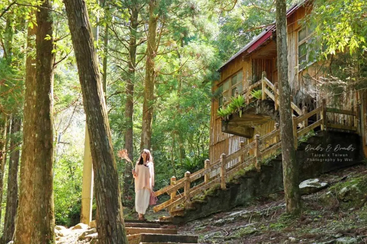 不要只逛老街啦!三峽6大私房祕境:10分鐘攻頂、絕美茶園、仙氣爆棚瀑布 不要只逛老街啦!三峽6大私房祕境:10分鐘攻頂、絕美茶園、仙氣爆棚瀑布