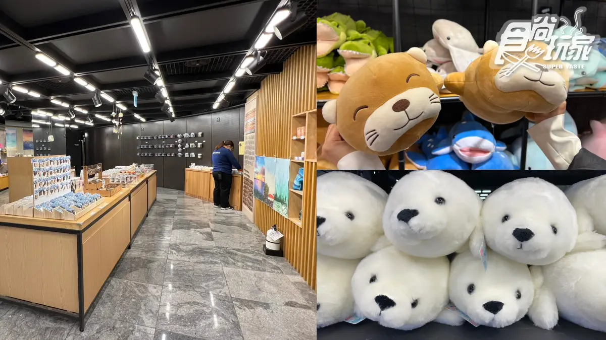 打卡巨萌魟魚＋23米水槽！直擊世界級水族館，再搶拍４層樓觀景窗、海底隧道