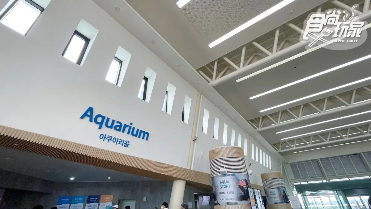 打卡巨萌魟魚＋23米水槽！直擊世界級水族館，再搶拍４層樓觀景窗、海底隧道