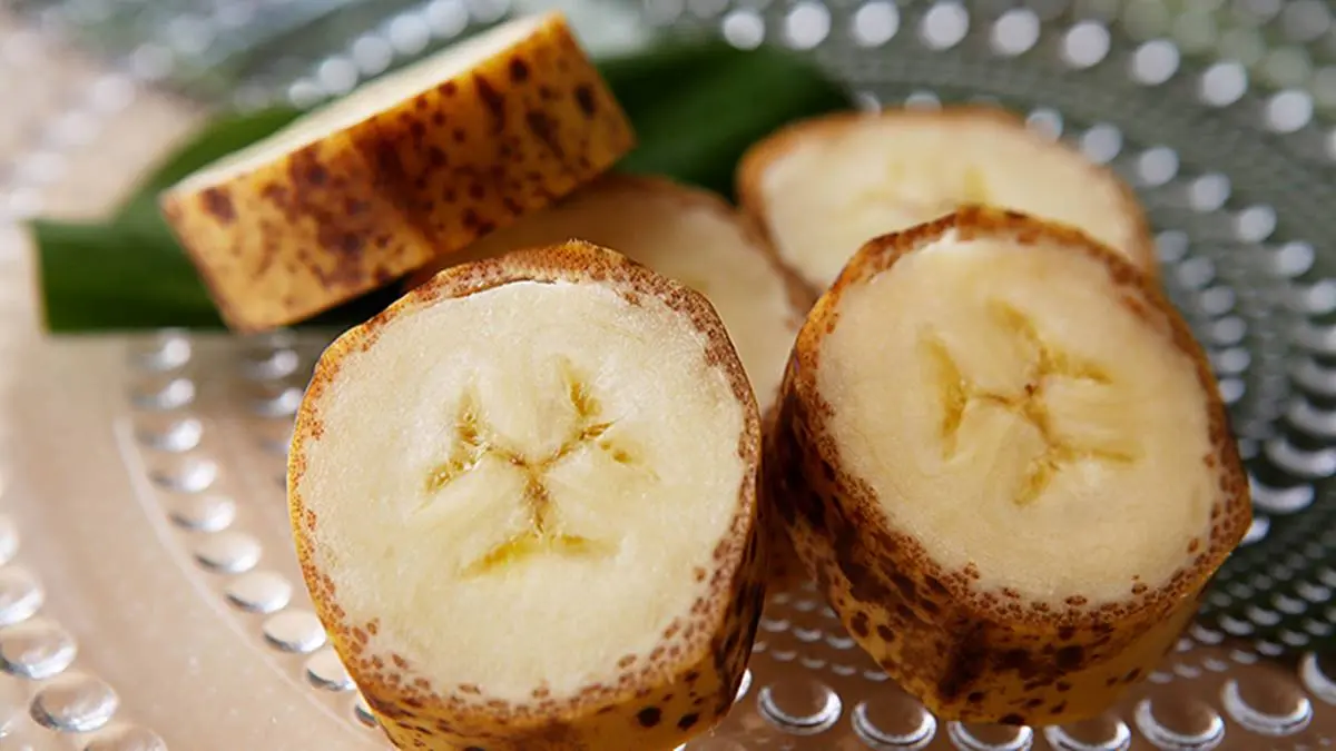 日本食物OMG！種出「切了不流淚」洋蔥不是最狂，「這水果」連皮都能吃