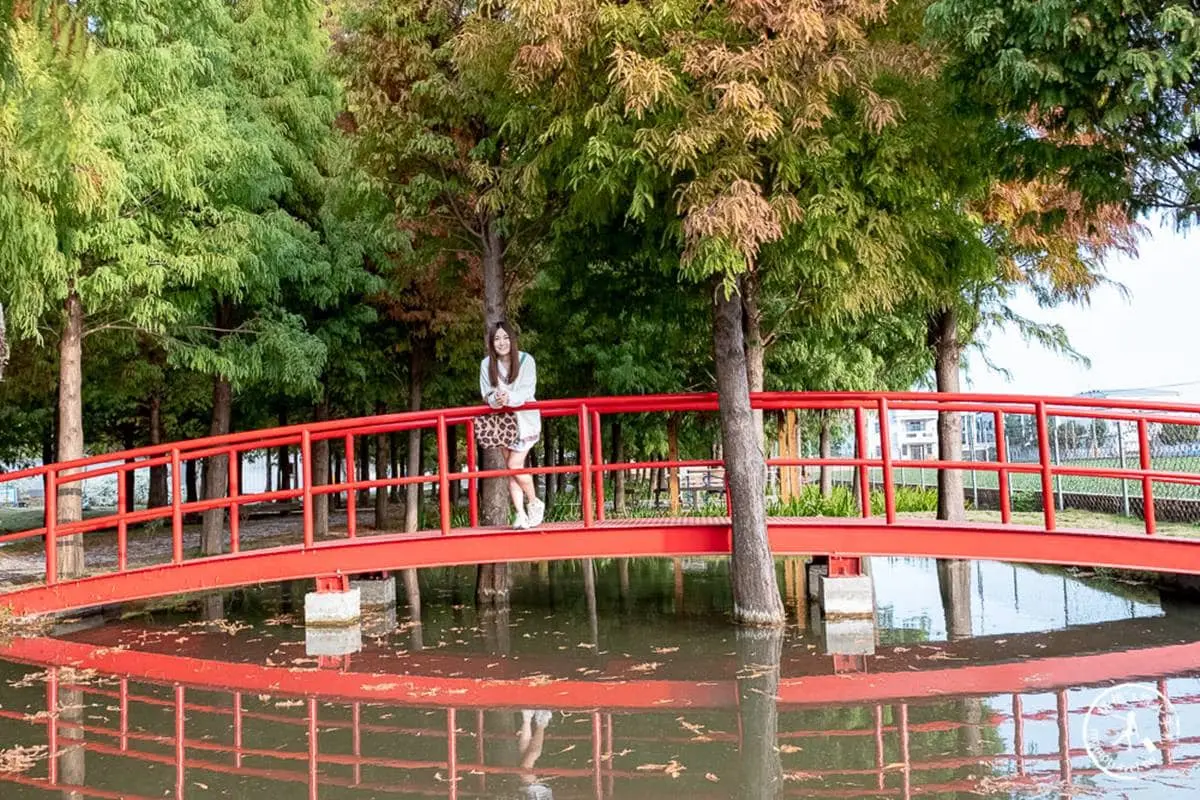 落羽松祕境隱身工廠？搶拍小橋流水、南洋風涼亭，鮮紅落羽松＋水池倒影美翻