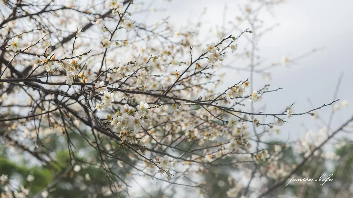 角板山公園