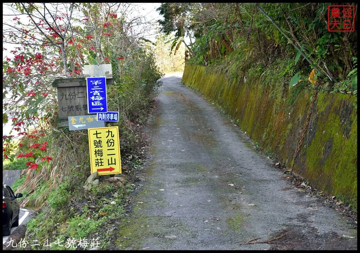 朝聖第一波「梅雪」！５處絕美賞梅仙境：占地15公頃、4000棵梅樹齊放