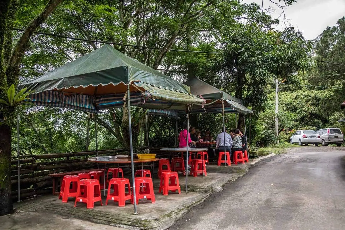 走春途中一定看過!風景區附近最多「這種店」:有吃、有玩、還能唱卡拉OK 走春途中一定看過!風景區附近最多「這種店」:有吃、有玩、還能唱卡拉OK