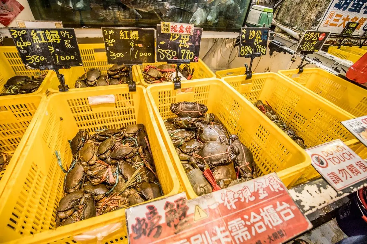 比漁港還便宜！辦年貨必逛「台中版築地市場」，先搶現切生魚片、手掌大草蝦