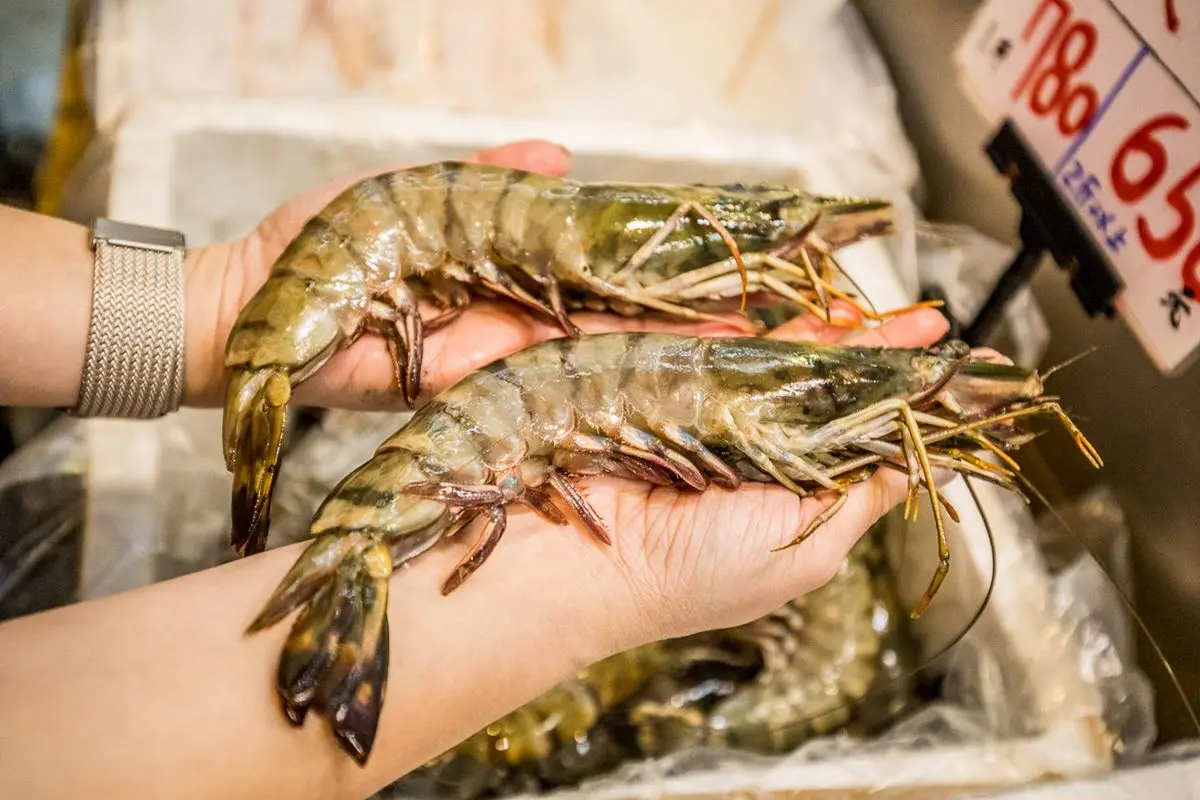 比漁港還便宜！辦年貨必逛「台中版築地市場」，先搶現切生魚片、手掌大草蝦