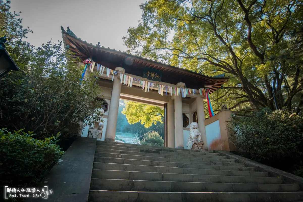 免費刷美照祕境！「南投最美佛寺」占地５公頃，搶拍巨型蓮花座、五百羅漢像