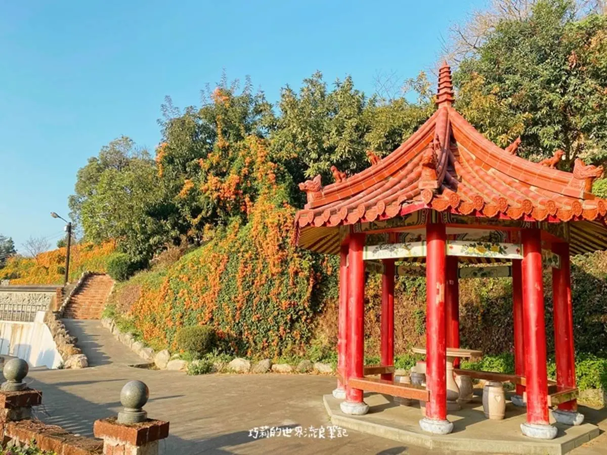 炮仗花現正滿開中!5大洗版IG賞花夯點:300公尺花牆步道、3層樓橘紅瀑布 炮仗花現正滿開中!5大洗版IG賞花夯點:300公尺花牆步道、3層樓橘紅瀑布