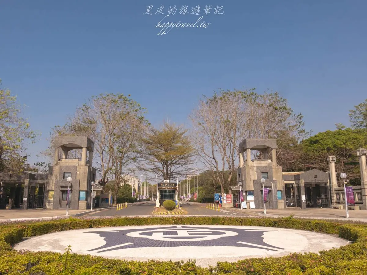 這週錯過等明年！嘉義最美大學「４公里樹海隧道」刷爆IG，浪漫黃金雨來襲