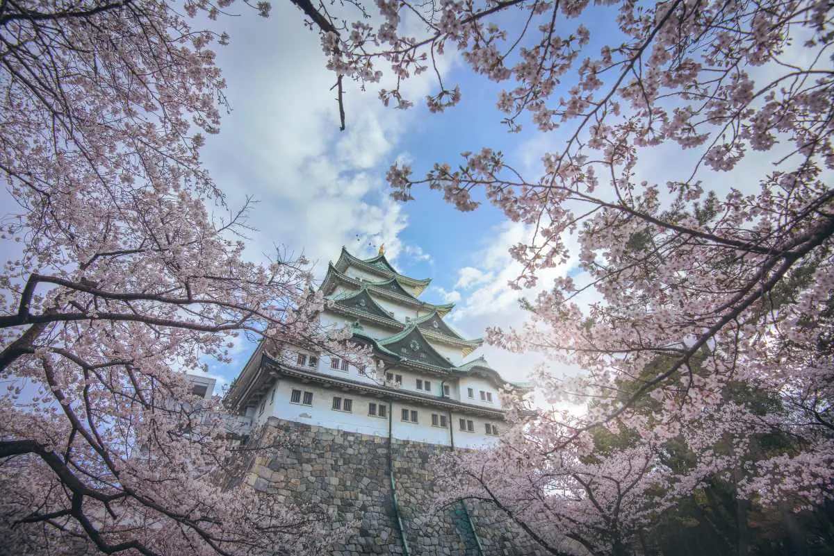 飛日本最低2000元有找!虎航優惠「只有2天」快搶,超甜價直飛4大夯點 飛日本最低2000元有找!虎航優惠「只有2天」快搶,超甜價直飛4大夯點
