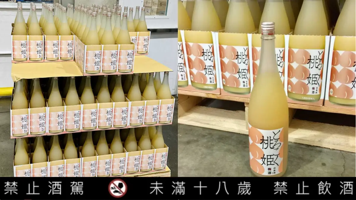 酒控上車了！好市多獨家「台啤金牌118鮮釀」0.5升僅39元，再搶超夯「桃姬梅酒」