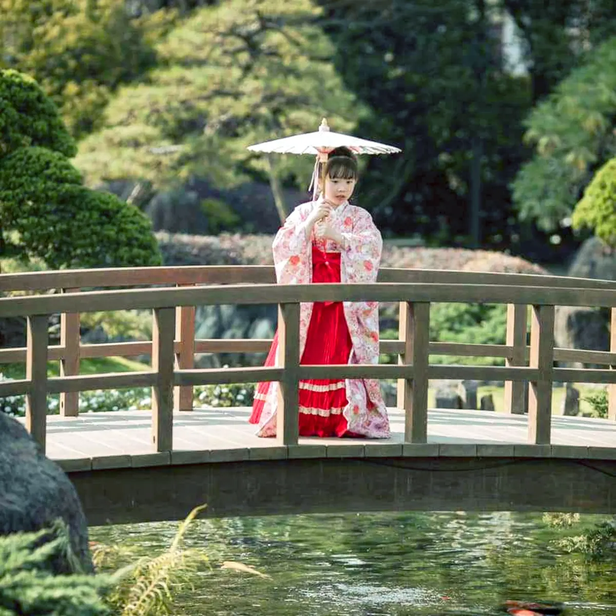 大甲媽信徒入園半價!「台版兼六園」國小女童免費逛,再賞滿開紫藤、花旗木 國小女童免費逛!萬坪「台版兼六園」搶拍和服美照、許願藤,穿碎花服享半價