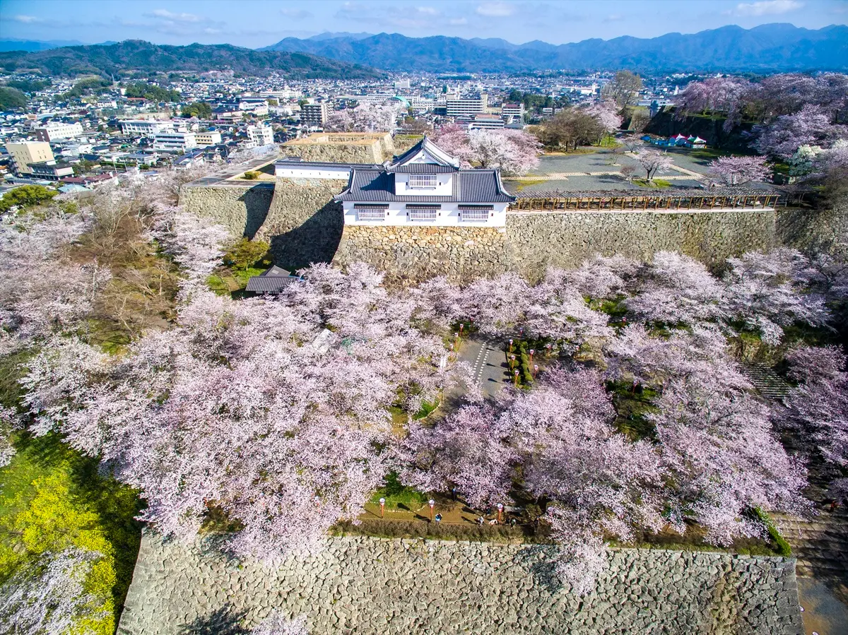 免費抽「日本岡山來回機票」!台灣虎航岡山航線3/26起復航,衝桃太郎故鄉賞櫻(中獎名單公布) 免費抽「日本岡山來回機票」!台灣虎航岡山航線3/26起復航,衝桃太郎故鄉賞櫻(中獎名單公布)