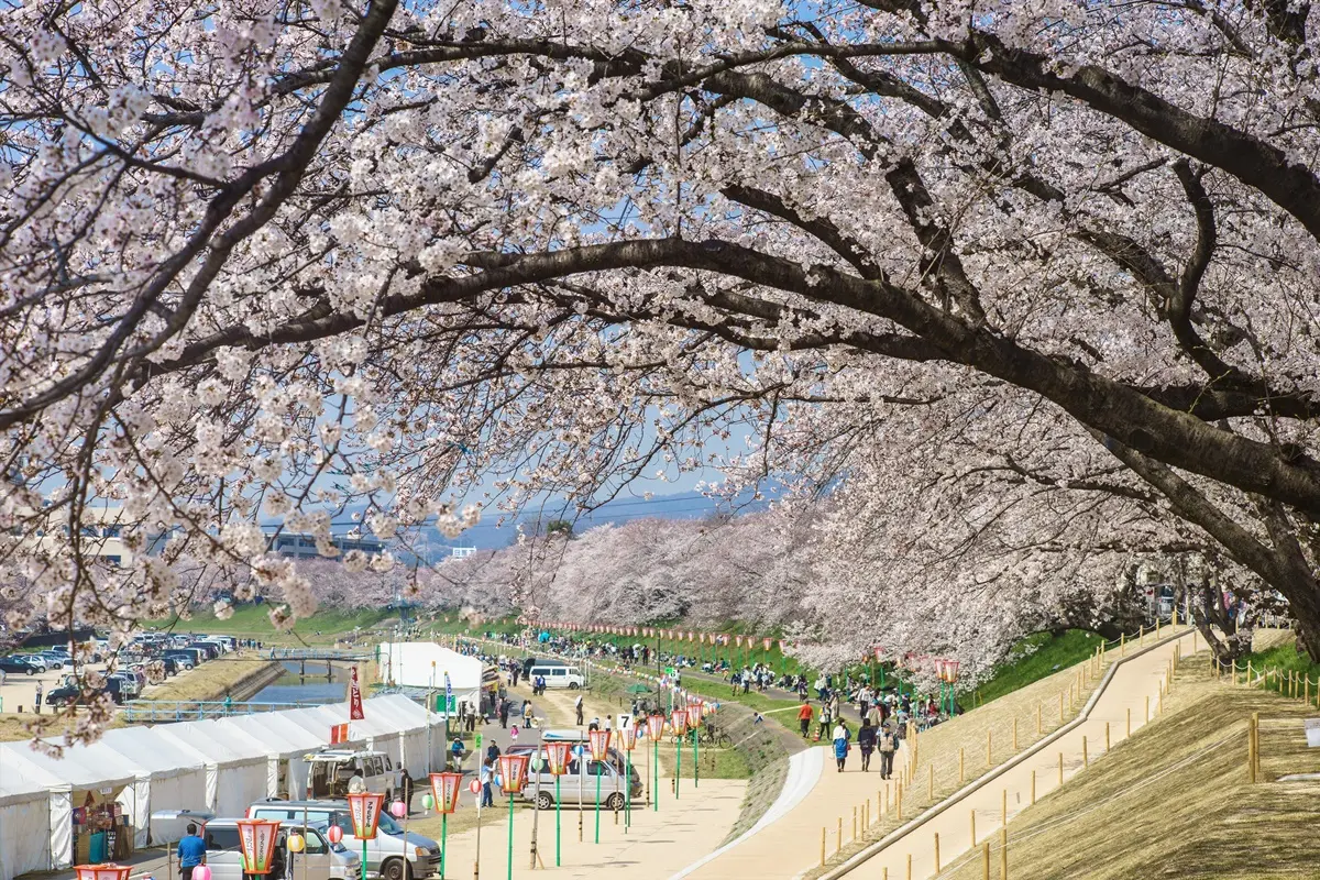 免費抽「日本岡山來回機票」!台灣虎航岡山航線3/26起復航,衝桃太郎故鄉賞櫻(中獎名單公布) 免費抽「日本岡山來回機票」!台灣虎航岡山航線3/26起復航,衝桃太郎故鄉賞櫻(中獎名單公布)