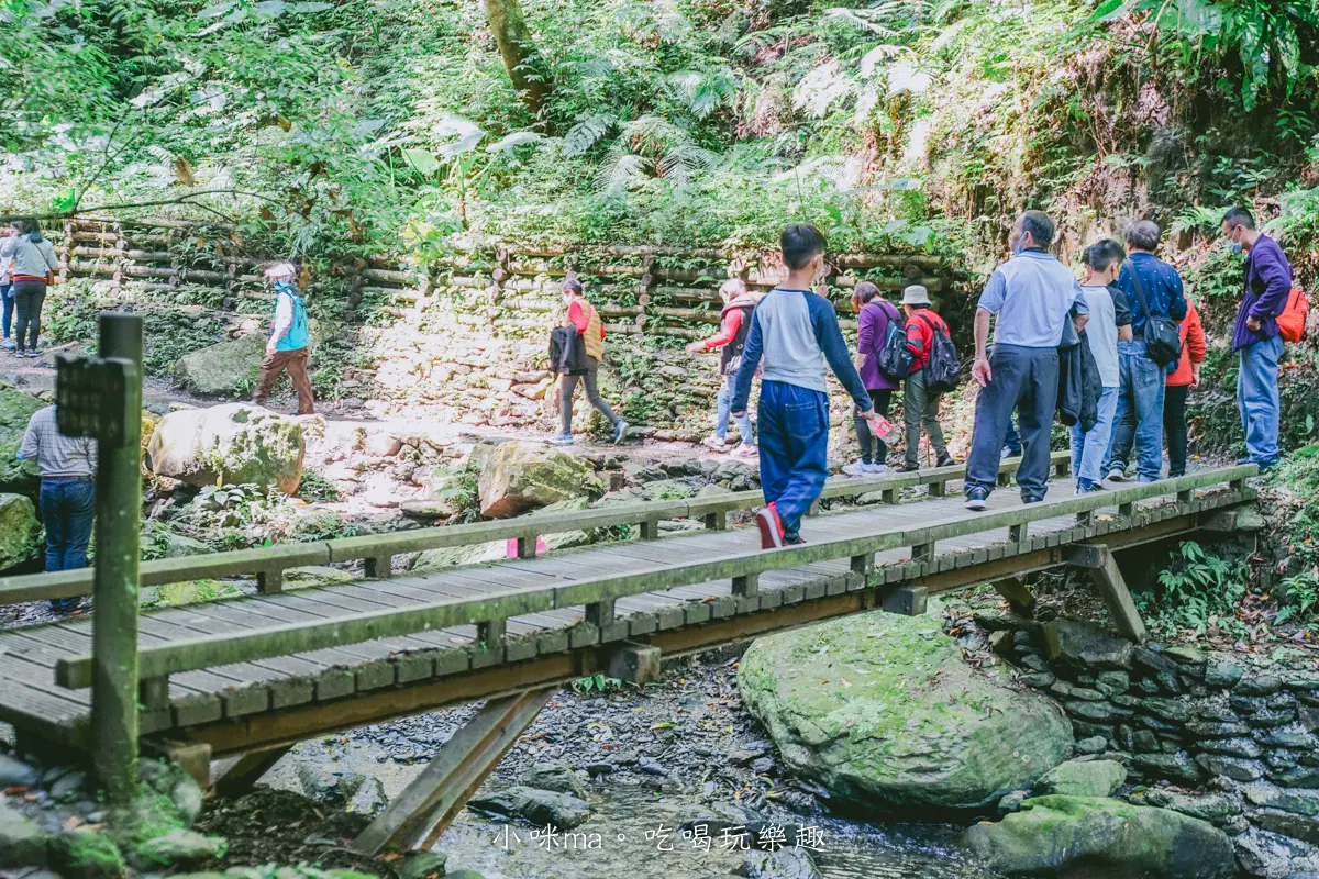 夯爆IG！宜蘭「新手祕境步道」一次賞山林、瀑布美景，網美必拍Z字溪流階梯