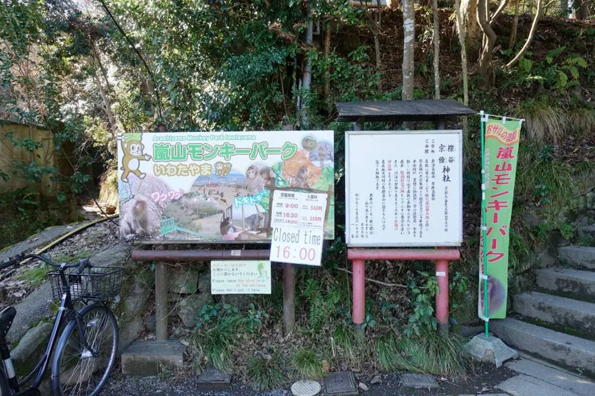 去嵐山還在搭小火車?必去「山頂猴園」搶拍零死角美景,野生萌猴坐檯超Chill 去嵐山還在搭小火車?必去「山頂猴園」搶拍零死角美景,野生萌猴坐檯超Chill