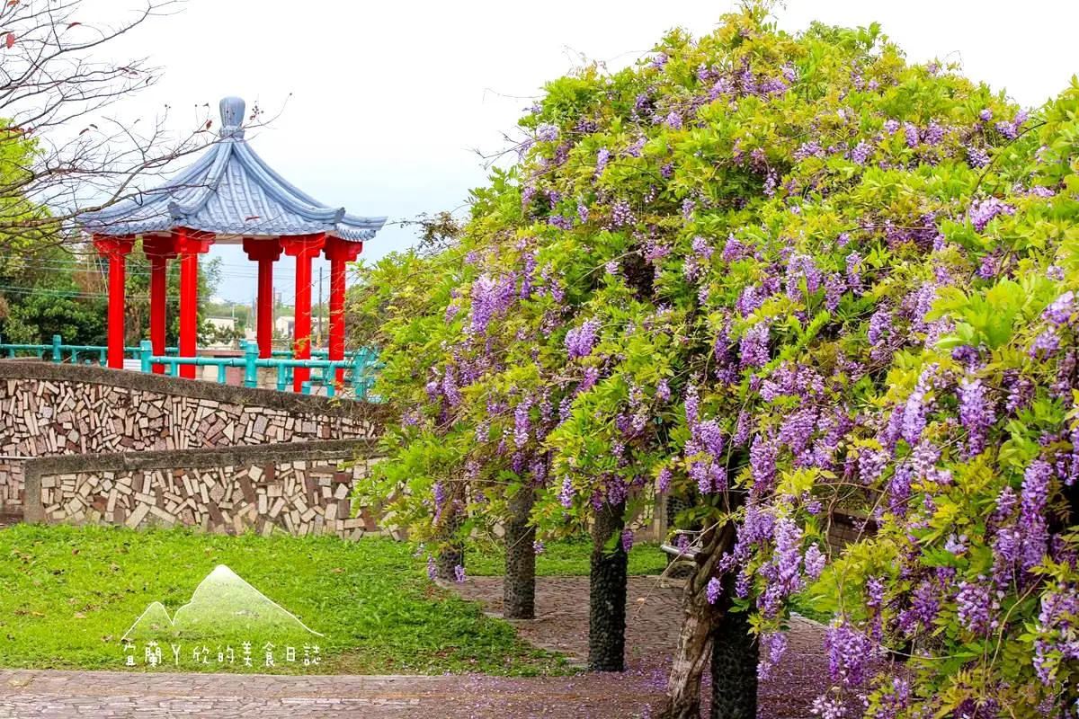 「紫爆」旋風襲捲全台!6處仙氣花海:萬坪紫藤園、河濱旁「台版普羅旺斯」 「紫爆」旋風襲捲全台!6處仙氣花海:萬坪紫藤園、河濱旁「台版普羅旺斯」
