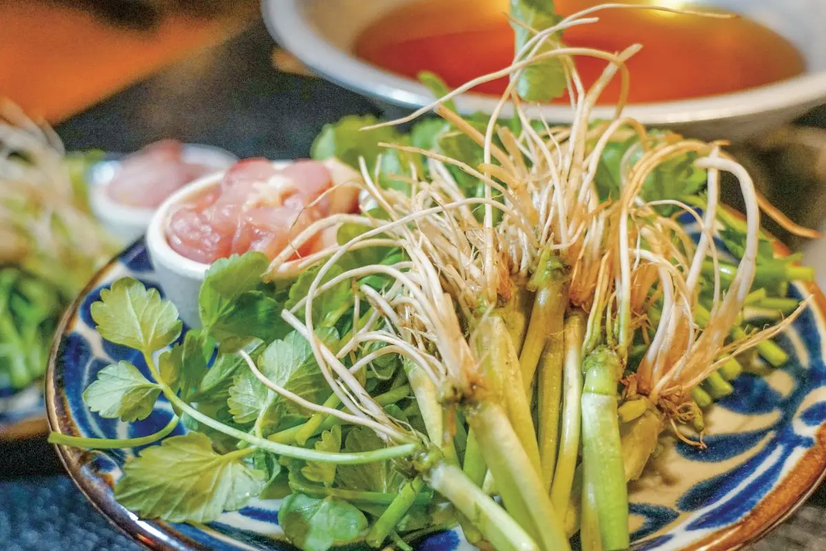 不只牛舌!仙台必吃美食6選+「排隊名店」指南:4認證仙台牛、限定水芹鍋 不只牛舌!仙台必吃美食6選+「排隊名店」指南:4認證仙台牛、限定水芹鍋