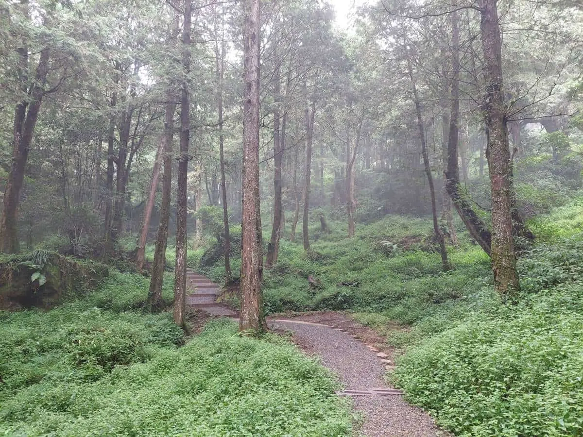 爸媽出遊看這篇!兒童節必訪12大親子景點,免費入園優惠、放電活動一次收 爸媽出遊看這篇!兒童節必訪12大親子景點,免費入園優惠、放電活動一次收