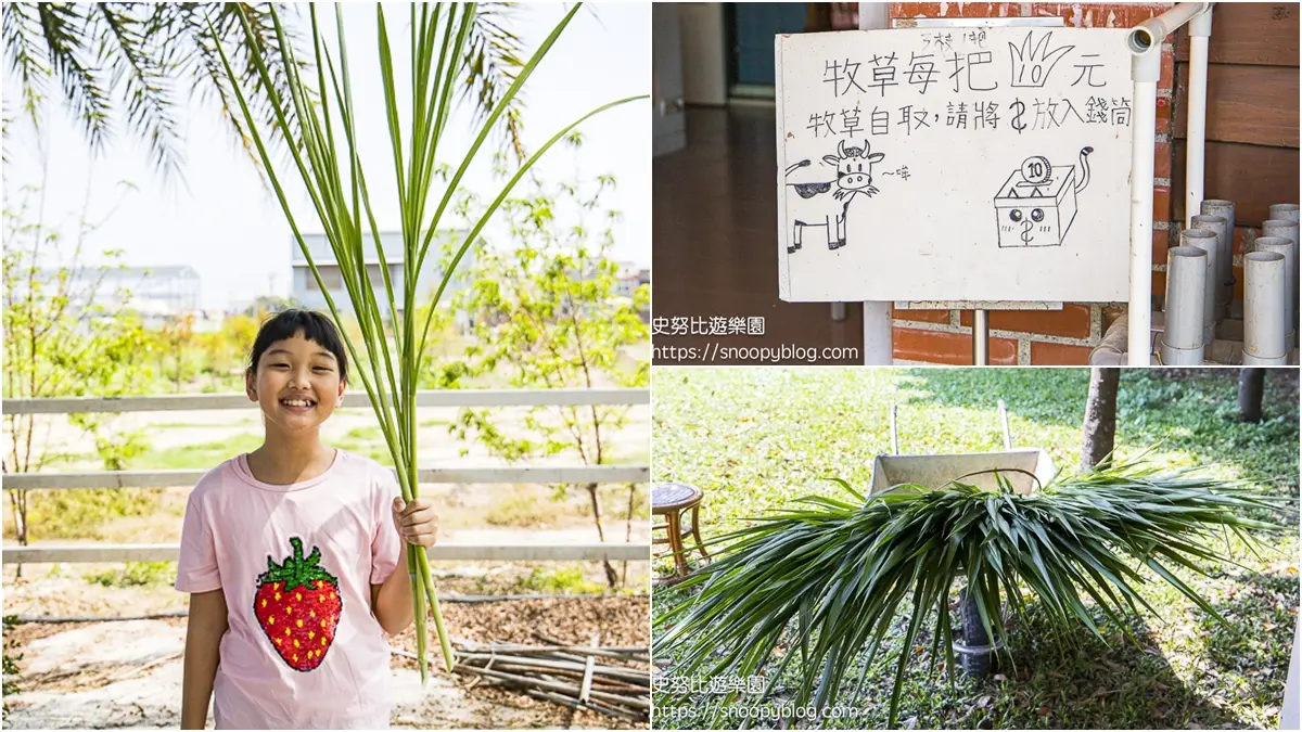 小資爸媽抓小孩放電!彰化「免門票牧場」餵牛吃草僅10元,爽玩鞦韆、溜滑梯 小資爸媽抓小孩放電!彰化「免門票牧場」餵牛吃草僅10元,爽玩鞦韆、溜滑梯