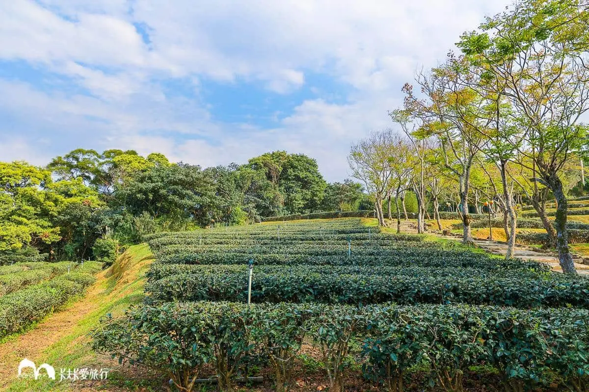 看碧潭水舞順遊!新店區美食、景點1日遊攻略8亮點,再逛1日限定小農市集 看碧潭水舞順遊!新店區美食、景點1日遊攻略8亮點,再逛1日限定小農市集