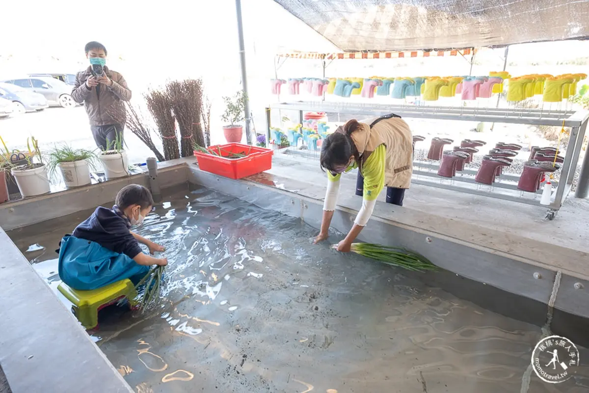 250元1票玩到飽!衝宜蘭新農場體驗拔蔥、做蔥麵包、抓泥鰍,變身1日小農夫 250元1票玩到飽!衝宜蘭新農場體驗拔蔥、做蔥麵包、抓泥鰍,變身1日小農夫