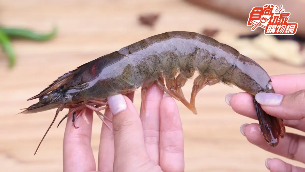 海鮮控吃爆！夯爆「撈汁小海鮮」怒嗑鮑魚、章魚，海港現挑＋特製醬汁超欠吃