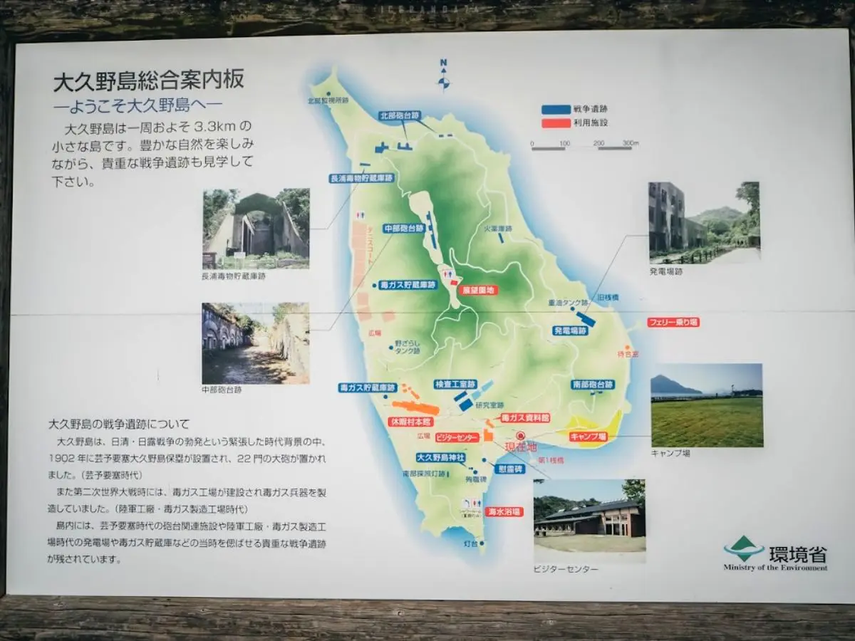 日本動物系景點！超人氣６處必去：全球唯一狐狸村、千隻兔兔圍繞神祕島