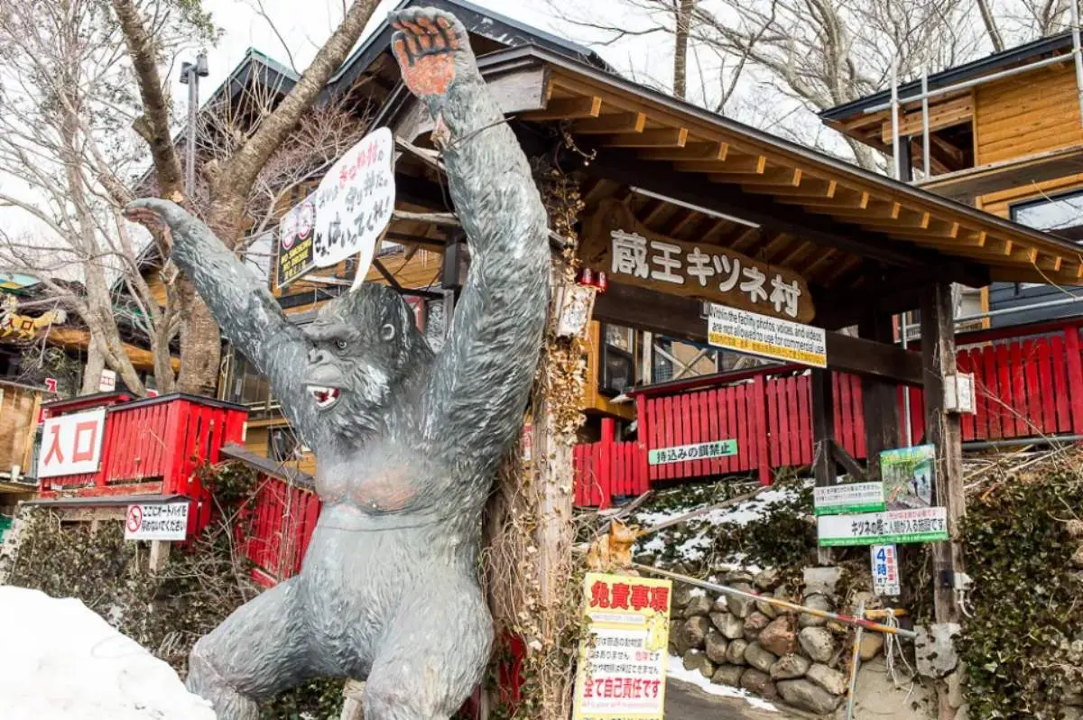 日本動物系景點！超人氣６處必去：全球唯一狐狸村、千隻兔兔圍繞神祕島
