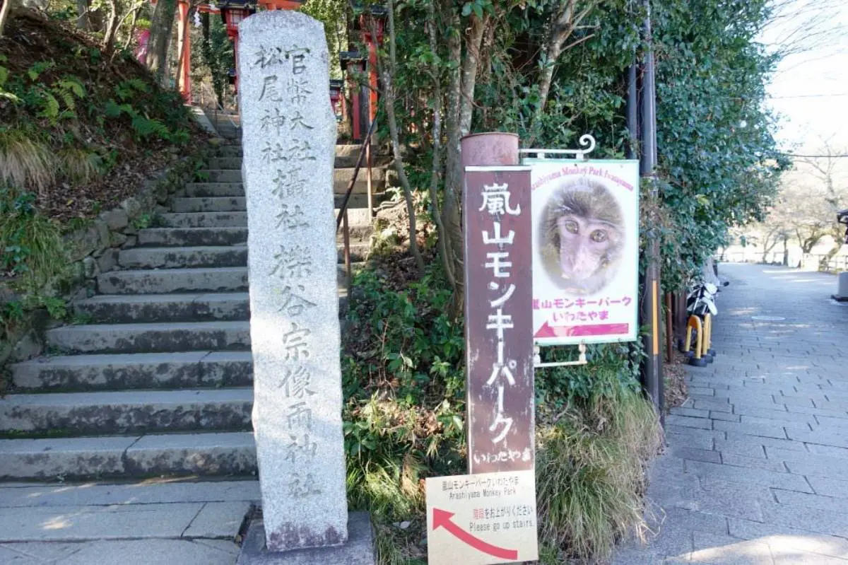 日本動物系景點！超人氣６處必去：全球唯一狐狸村、千隻兔兔圍繞神祕島