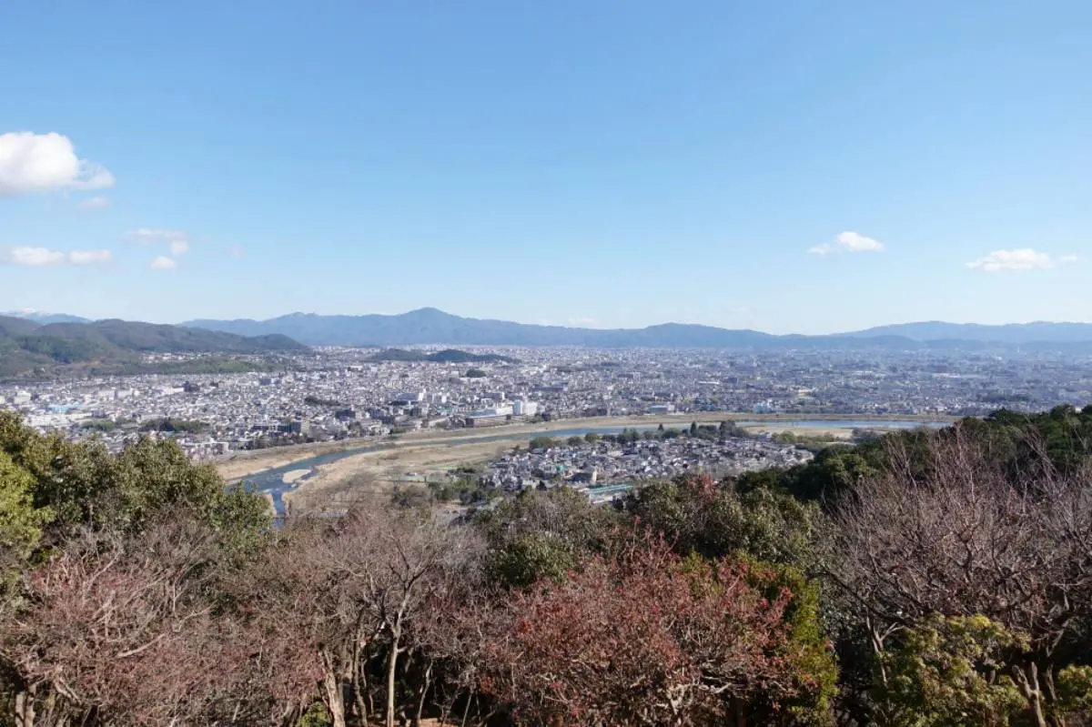 日本動物系景點！超人氣６處必去：全球唯一狐狸村、千隻兔兔圍繞神祕島