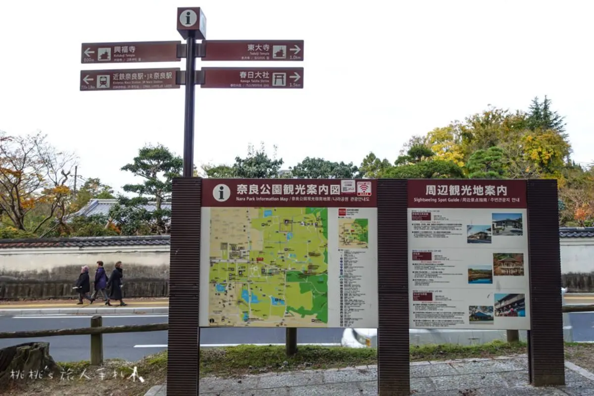 日本動物系景點！超人氣６處必去：全球唯一狐狸村、千隻兔兔圍繞神祕島