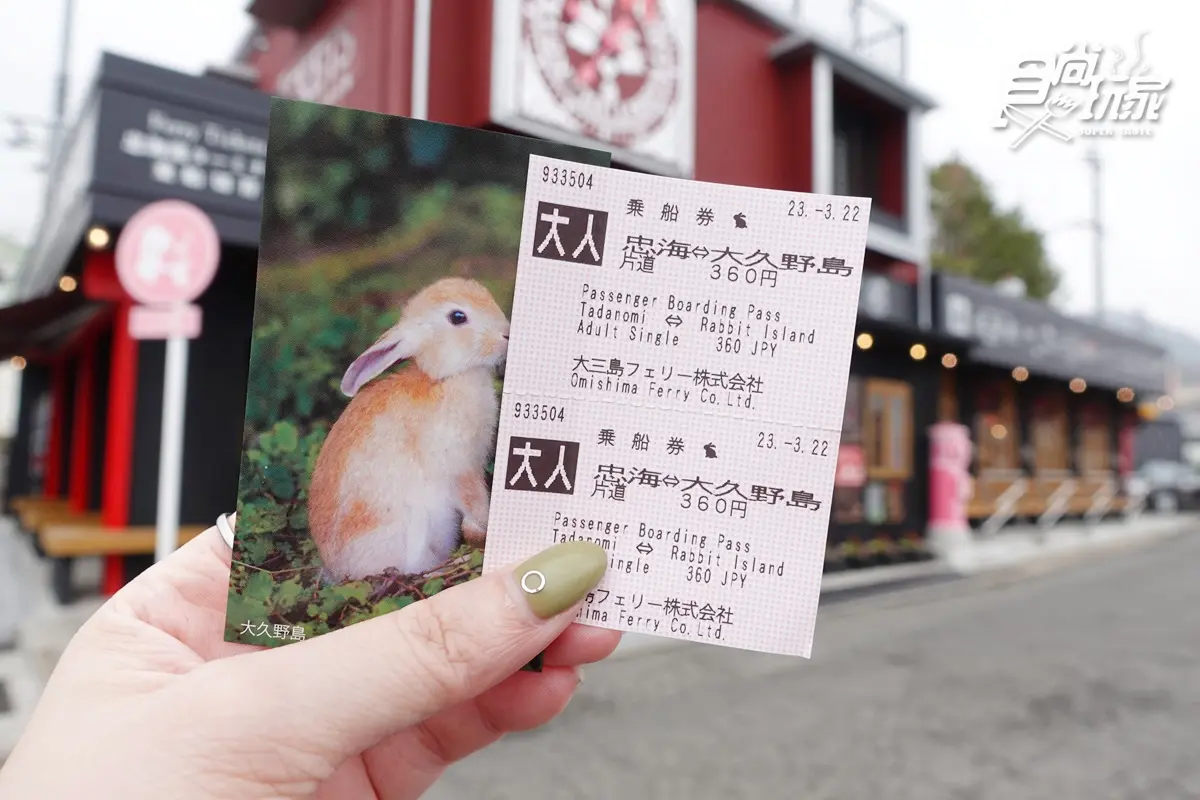女子旅首選！超Q「兔子島」兔兔餵食TIPS、兔耳打卡點、童話風紀念品店
