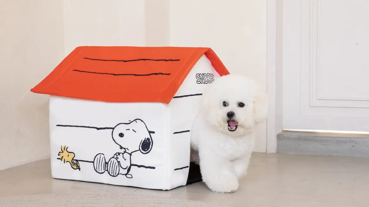 ８元就能加購！康是美「SNOOPY」20款商品，先搶萌翻拍拍燈、雙層行李箱