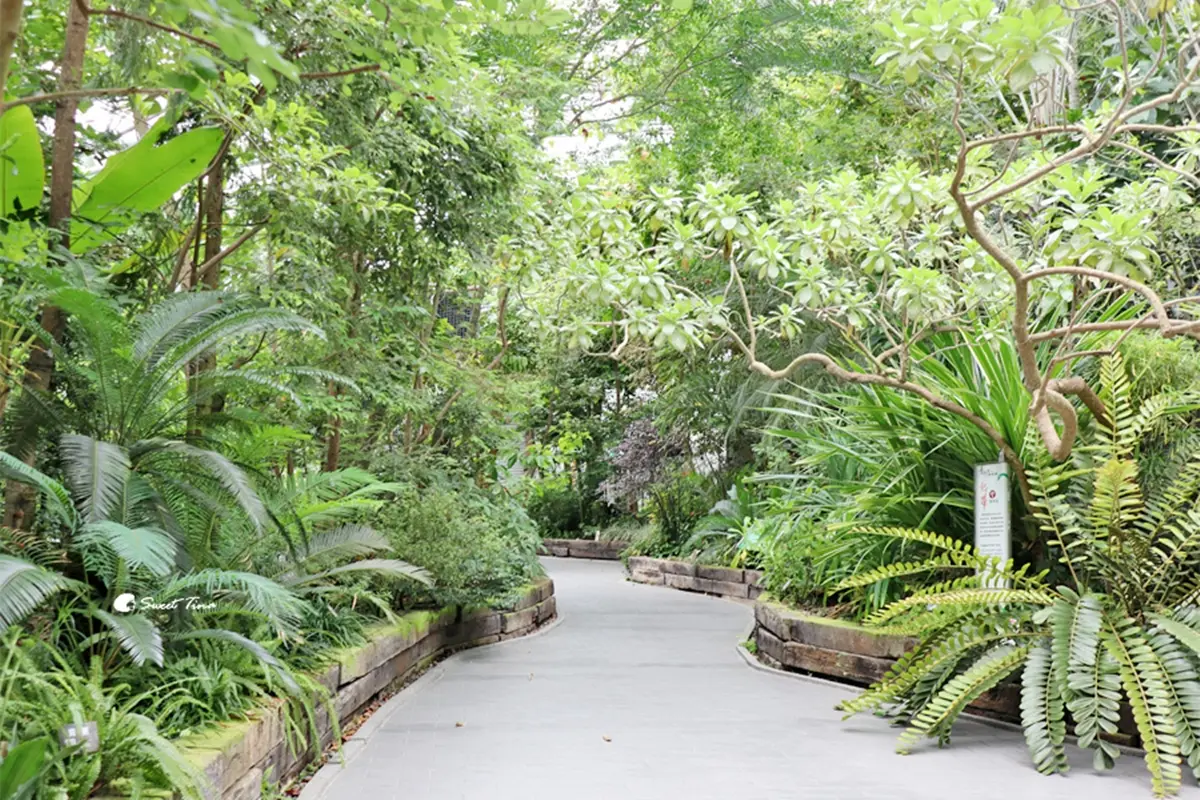 台北免費景點推薦！６處公園、室內景點必衝：台北最長溜滑梯、１日小加油員