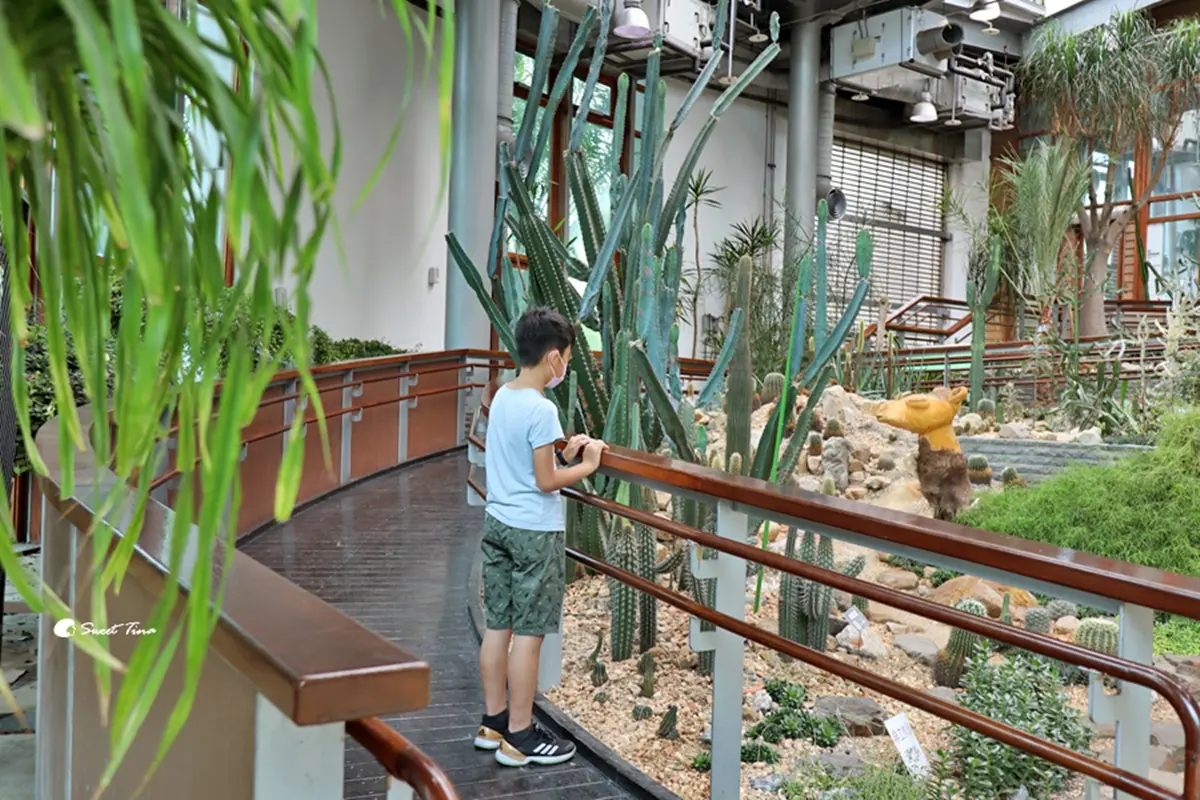 台北免費景點推薦!6處公園、室內景點必衝:台北最長溜滑梯、1日小加油員 台北免費景點推薦!6處公園、室內景點必衝:台北最長溜滑梯、1日小加油員