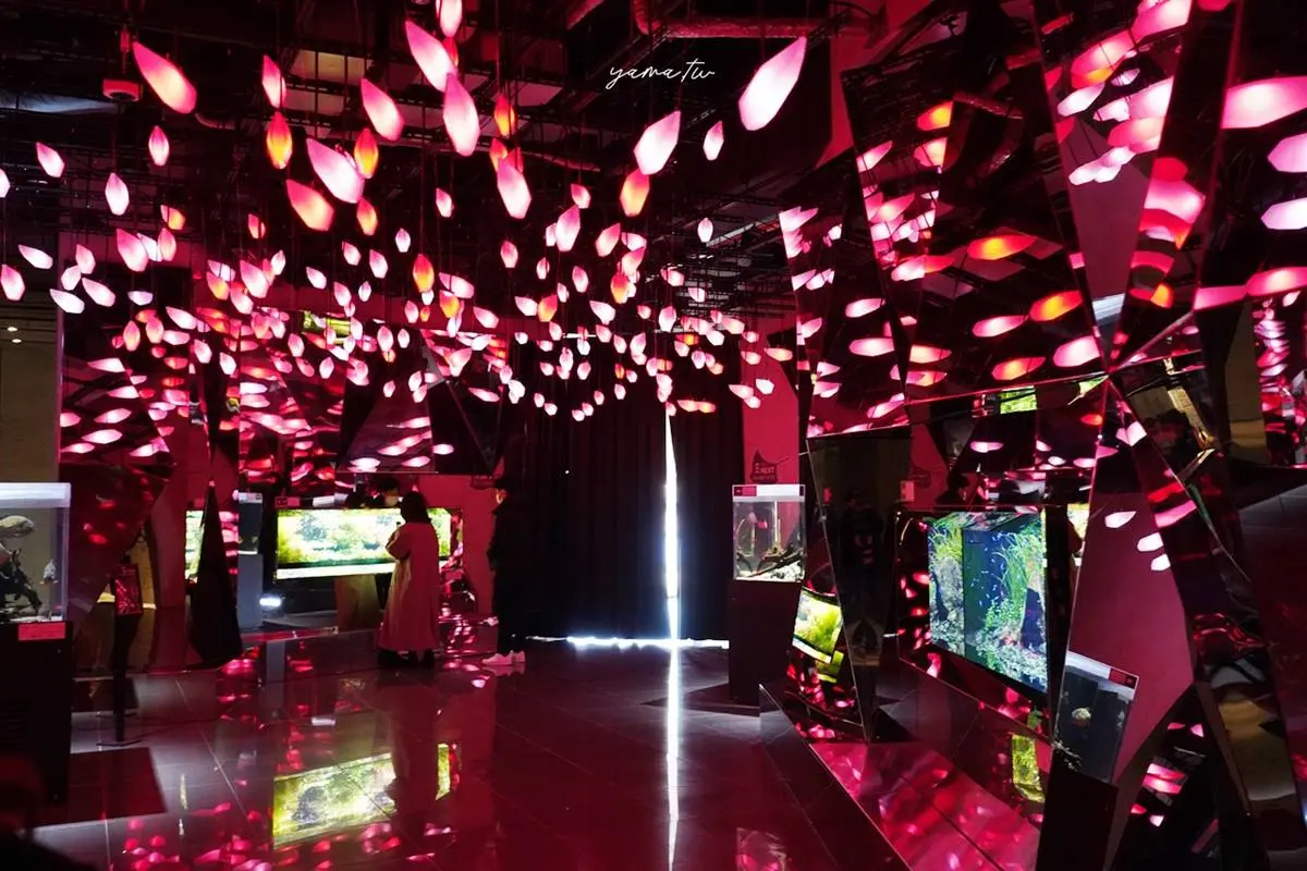 6大特色水族館!日本行不去後悔:唯一「美人魚」水族館、全日最大球體水槽 6大特色水族館!日本行不去後悔:唯一「美人魚」水族館、全日最大球體水槽