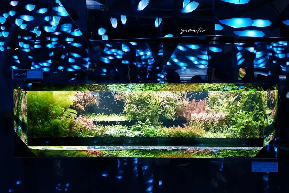 6大特色水族館!日本行不去後悔:唯一「美人魚」水族館、全日最大球體水槽 6大特色水族館!日本行不去後悔:唯一「美人魚」水族館、全日最大球體水槽