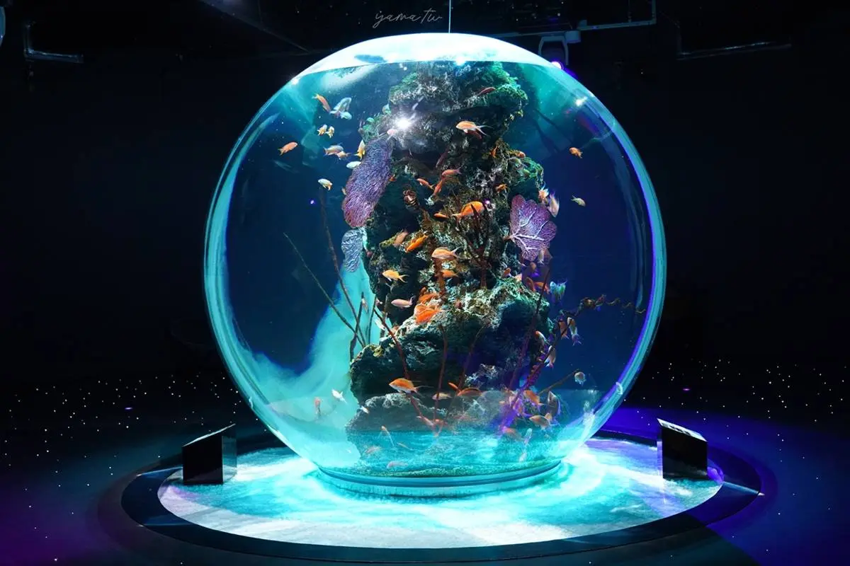 6大特色水族館!日本行不去後悔:唯一「美人魚」水族館、全日最大球體水槽 6大特色水族館!日本行不去後悔:唯一「美人魚」水族館、全日最大球體水槽