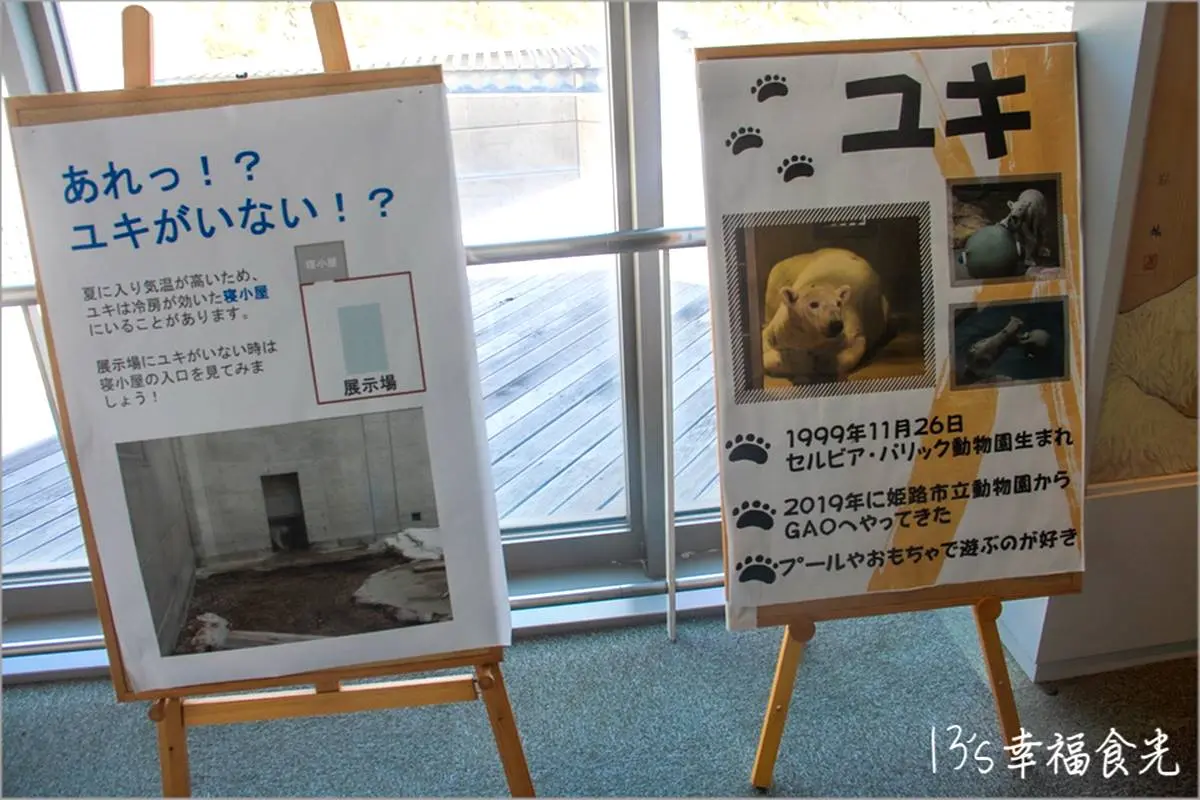 6大特色水族館!日本行不去後悔:唯一「美人魚」水族館、全日最大球體水槽 6大特色水族館!日本行不去後悔:唯一「美人魚」水族館、全日最大球體水槽