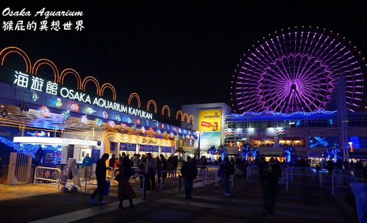 6大特色水族館!日本行不去後悔:唯一「美人魚」水族館、全日最大球體水槽 6大特色水族館!日本行不去後悔:唯一「美人魚」水族館、全日最大球體水槽