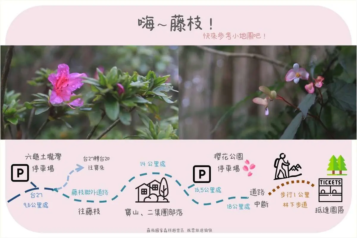 120元逛整天!「南部小溪頭」4/21起免預約入園,票價、路線、交通資訊一次看 120元逛整天!「南部小溪頭」4/21起免預約入園,票價、路線、交通資訊一次看