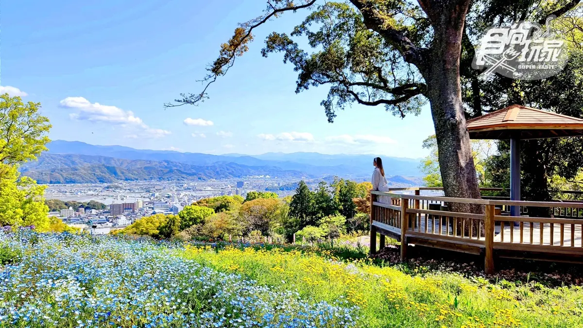 隨便拍都夢幻！超美植物園顏值爆表，必拍「巨型太空艙溫室」