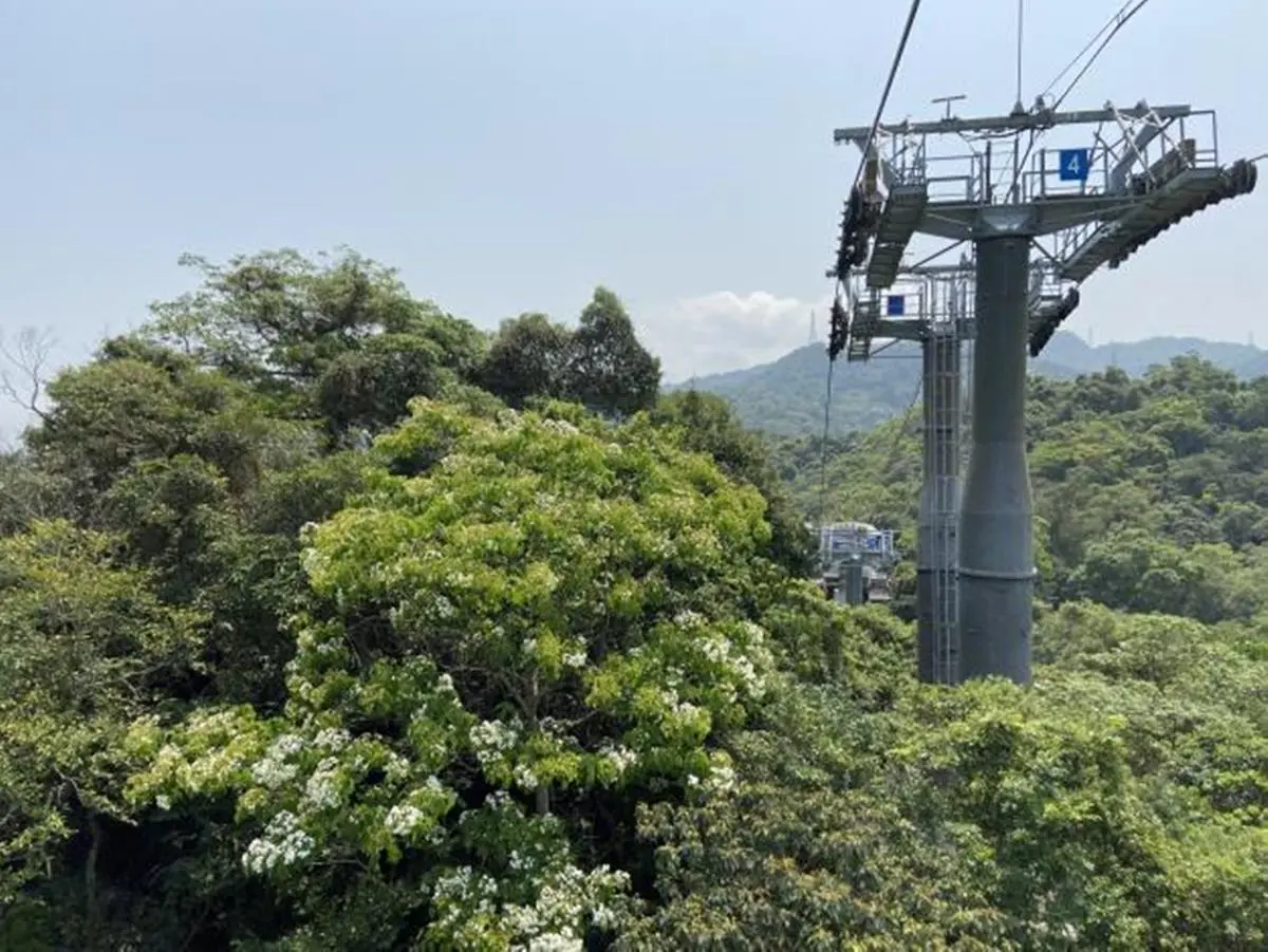 身分證拿出來！對姓名有「這８字」，兒童新樂園、貓纜１日票「買一送一」