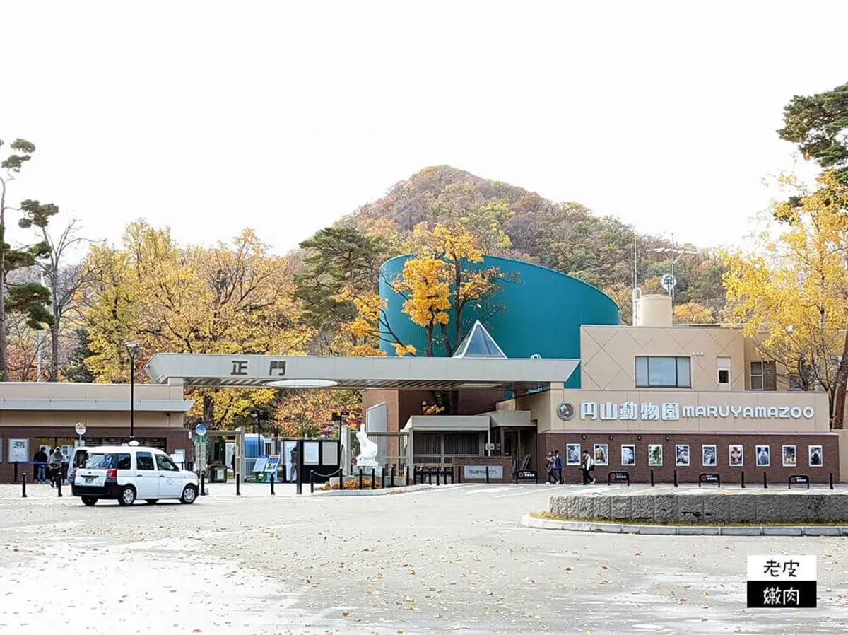 日本人氣動物園！５間必去推薦：坐造型巴士餵動物、企鵝散步秀、珍稀白老虎
