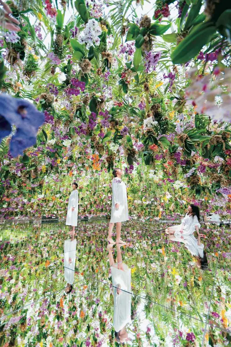 1張照片就暴紅!按讚數狂飆,5處打卡祕境絕景:七彩傘鏡、通往幸福的階梯 1張照片就暴紅!按讚數狂飆,5處打卡祕境絕景:七彩傘鏡、通往幸福的階梯